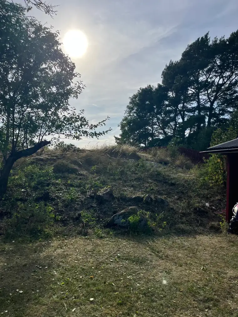 Öppen och röjd tomt på Elgö efter manuell slyröjning